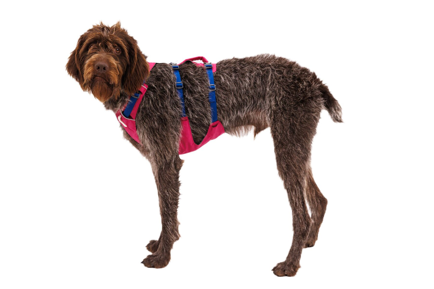Ruffwear Flagline Harness