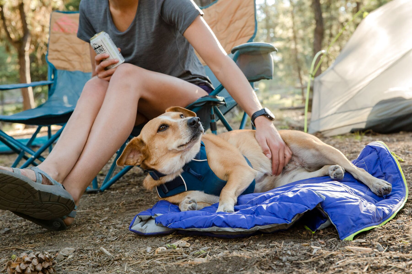 Ruffwear Highlands Dog Sleeping Bag