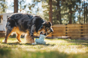 Ruffwear Porcini Dog Toy - enrichment toy and slow feeder