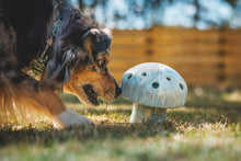 Load image into Gallery viewer, Ruffwear Porcini Dog Toy - enrichment toy and slow feeder