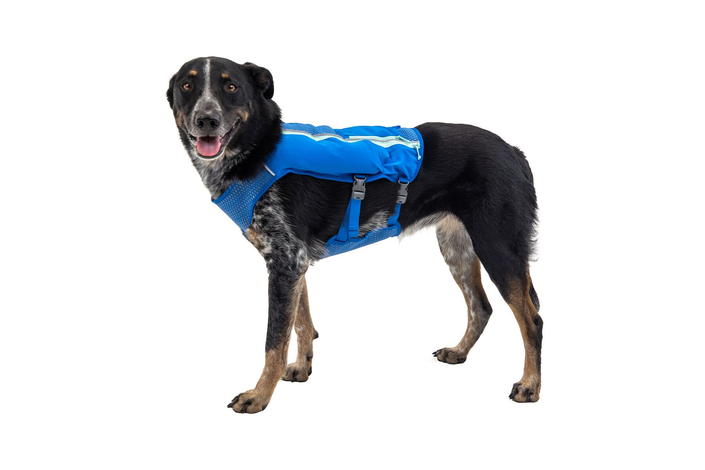 Ruffwear Trail Runner Dog Running Vest