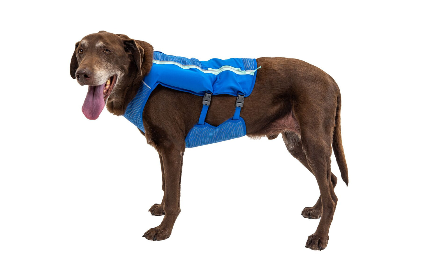 Ruffwear Trail Runner Dog Running Vest