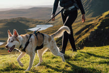 Load image into Gallery viewer, Ruffwear Ridgeline Harness