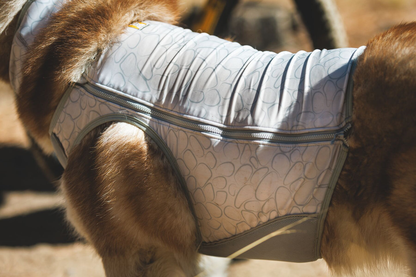 a ruffwear grey and white cooling vest on the body of a dog