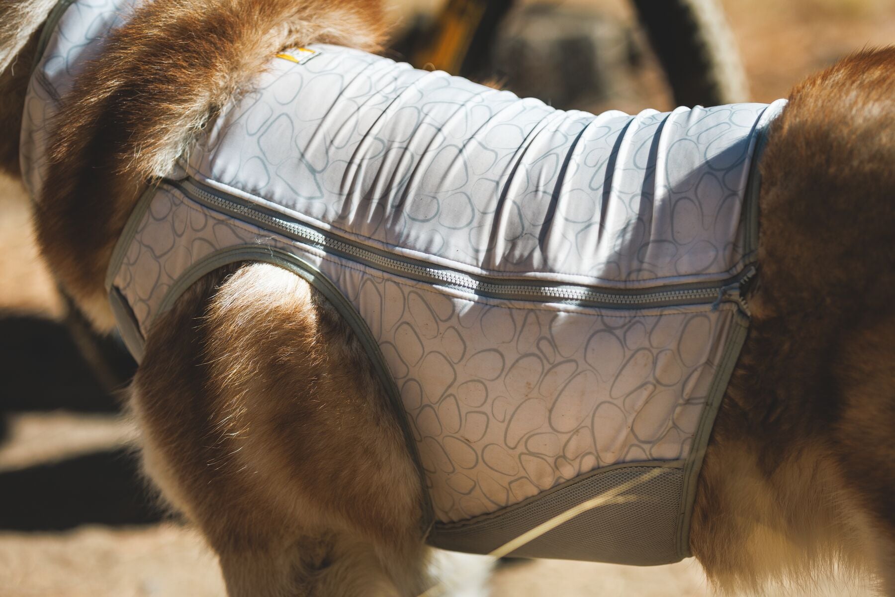 a ruffwear grey and white cooling vest on the body of a dog
