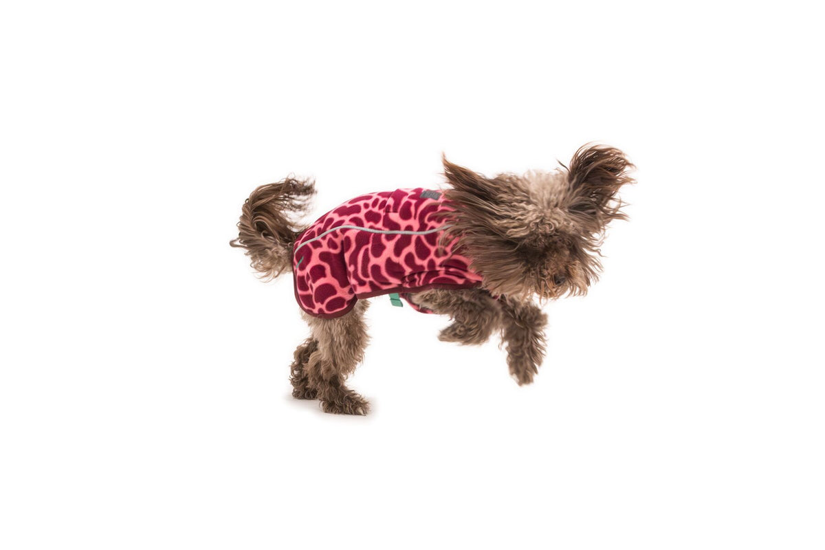Climate Changer Fleece Vest | Warm Dog Fleece | Ruffwear