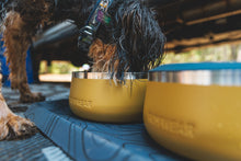 Load image into Gallery viewer, Basecamp Dog Bowl Mat - Ruffwear