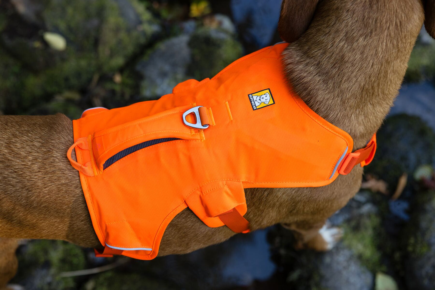 Ruffwear Web Master dog harness with handle (step in harness)