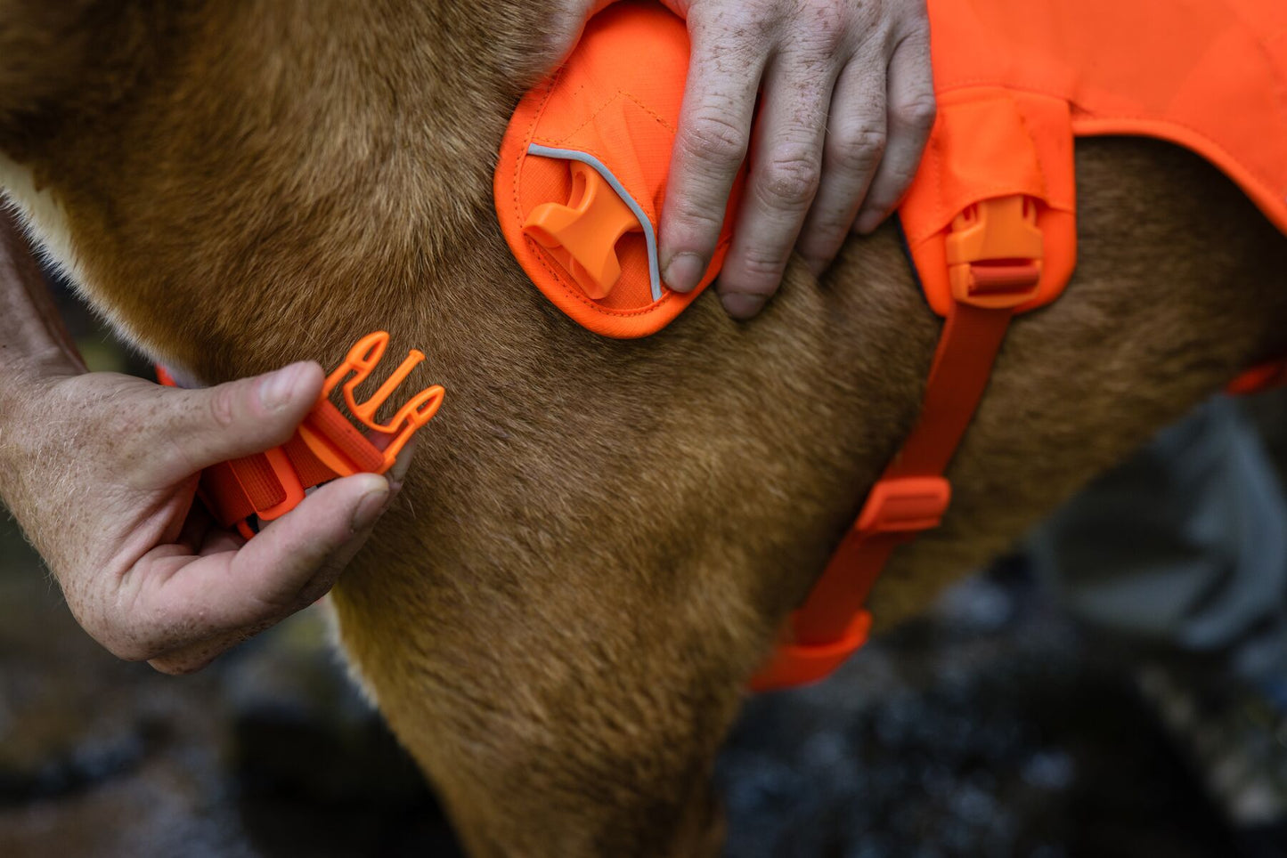 Ruffwear Web Master dog harness with handle (step in harness)
