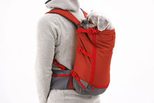 Load image into Gallery viewer, Ruffwear - Hitch Hiker Dog Carrier