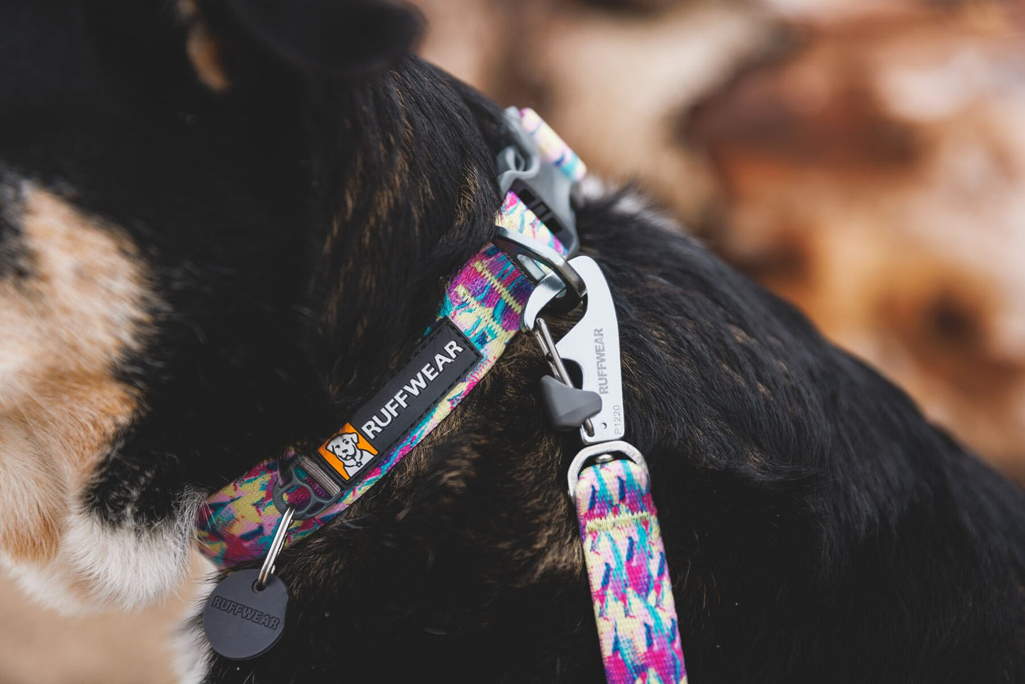 Ruffwear Front Range Dog Collar | Patterned Every Day Collar