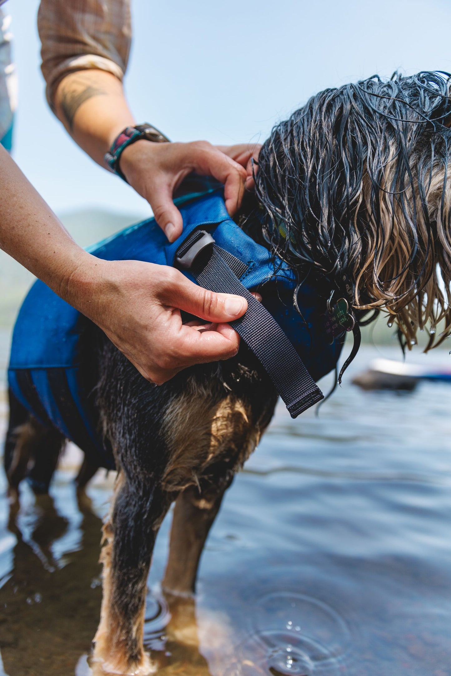 Ruffwear Float Coat | Dog Life Jacket
