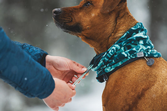 Mt. Hoodie Warming Neck Gaiter | Ruffwear