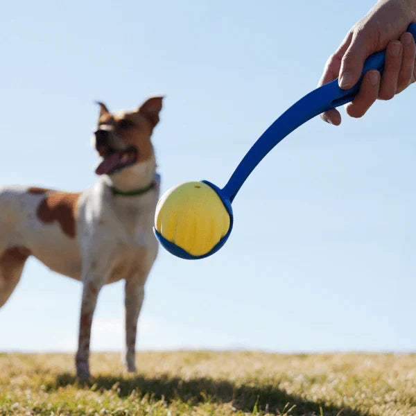 Woof Flyball 2-in-1 Dog Ball & Puzzle Toy – 3 Pack