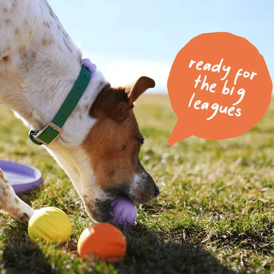 Woof Flyball 2-in-1 Dog Ball & Puzzle Toy – 3 Pack