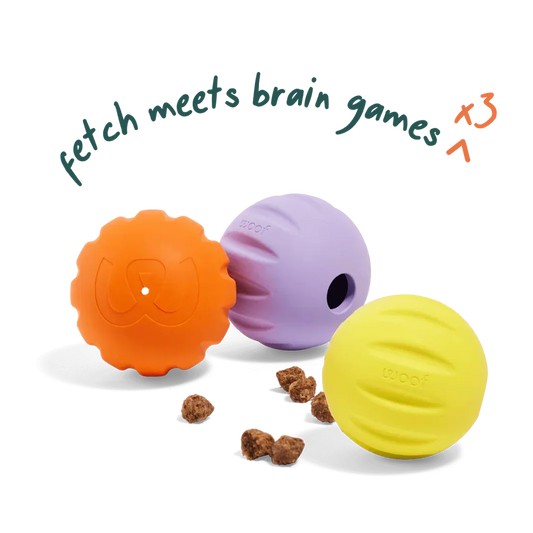 Woof Flyball 2-in-1 Dog Ball & Puzzle Toy – 3 Pack