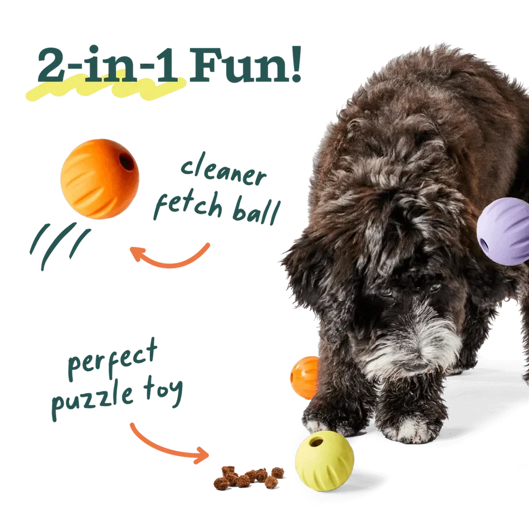 Woof Flyball 2-in-1 Dog Ball & Puzzle Toy – 3 Pack