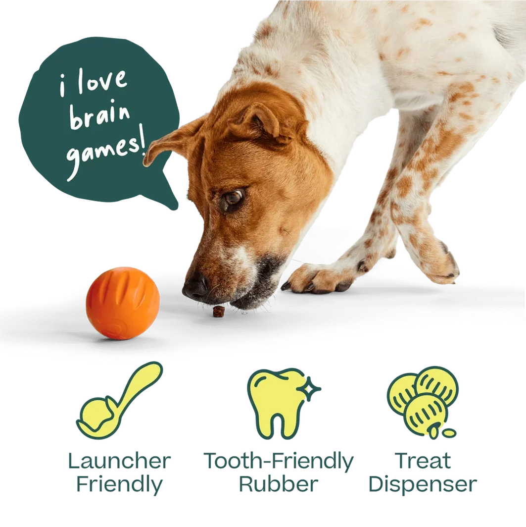 Woof Flyball 2-in-1 Dog Ball & Puzzle Toy – 3 Pack