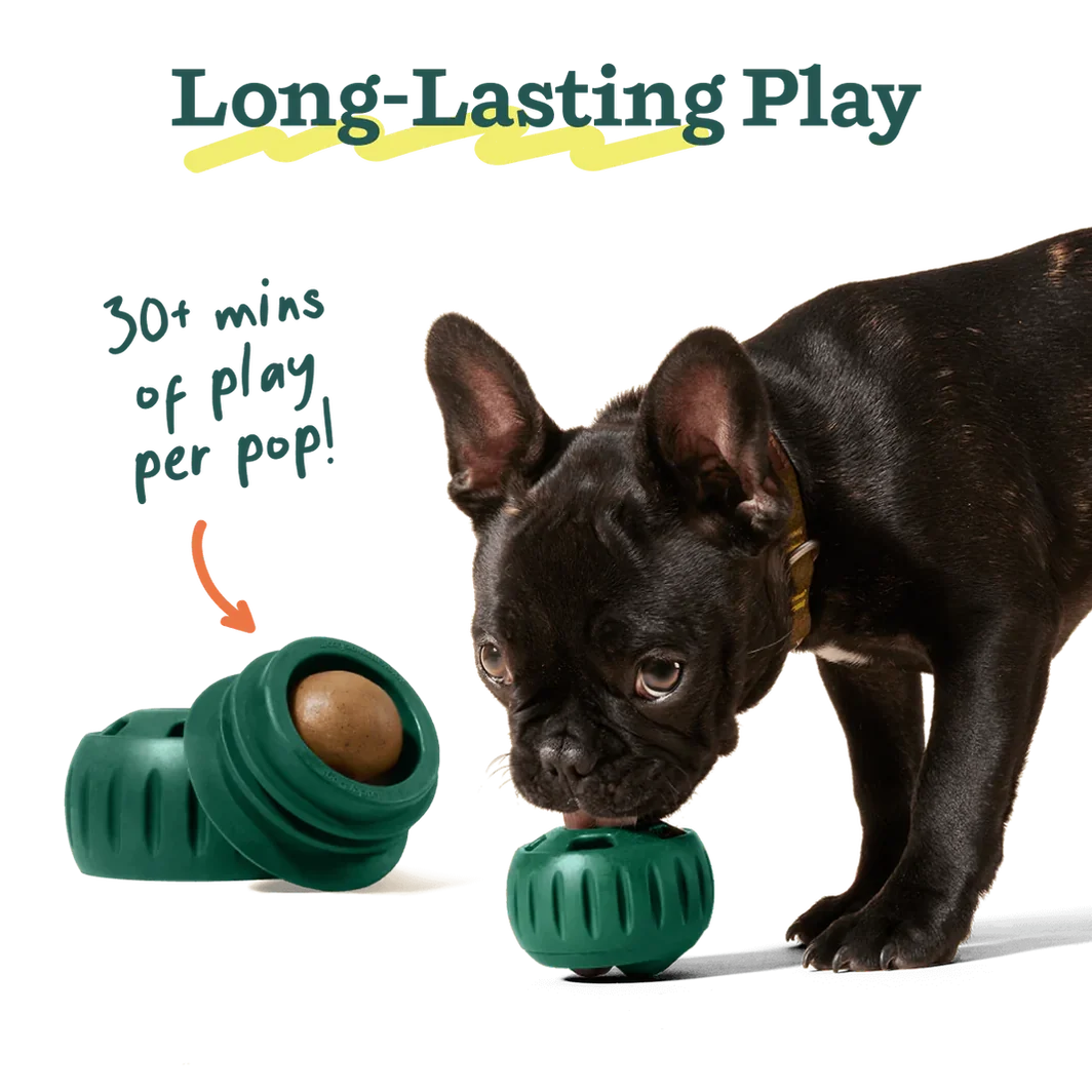 Woof Pupsicle Toy Refill Pops