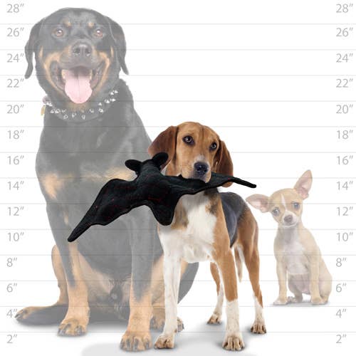 Tuffy Desert Bat, Durable, Tough, Squeaky Dog Toy