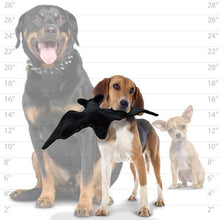 Load image into Gallery viewer, Tuffy Desert Bat, Durable, Tough, Squeaky Dog Toy