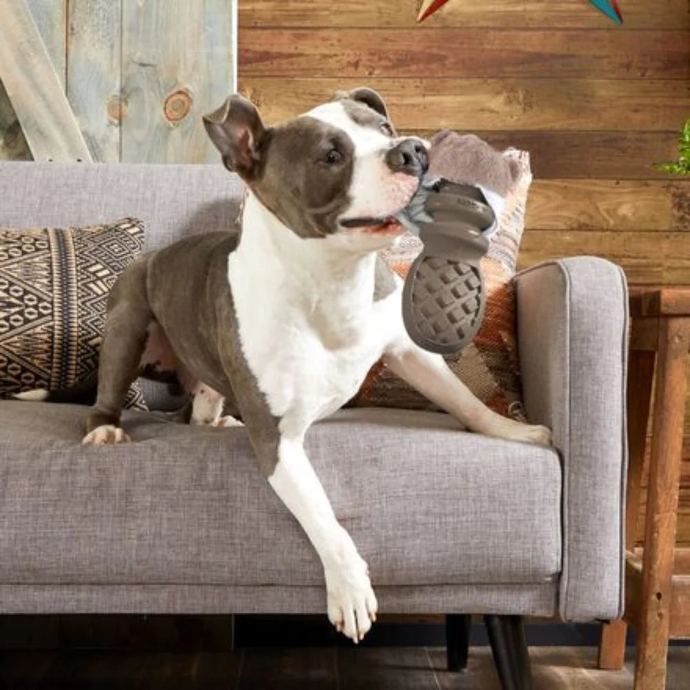 BARK Beaver Dog Toy - two in one toy