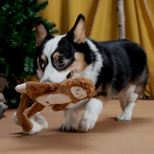 Load image into Gallery viewer, Bark Hairy Henderson Dog Toy
