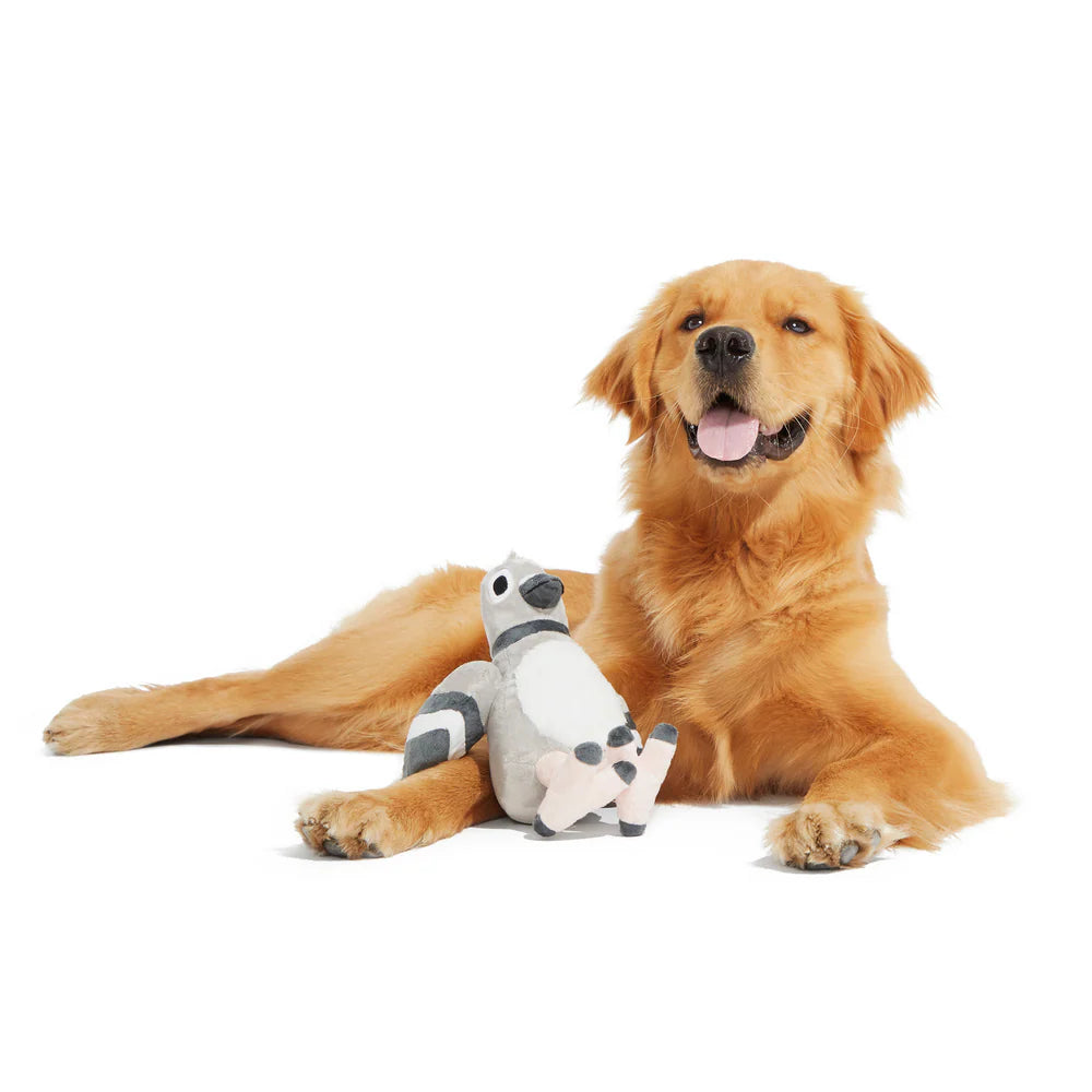 BARK Flappin Flossie Pigeon dog toy
