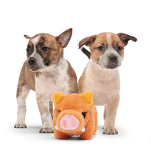 Load image into Gallery viewer, BARK Beau the Boar