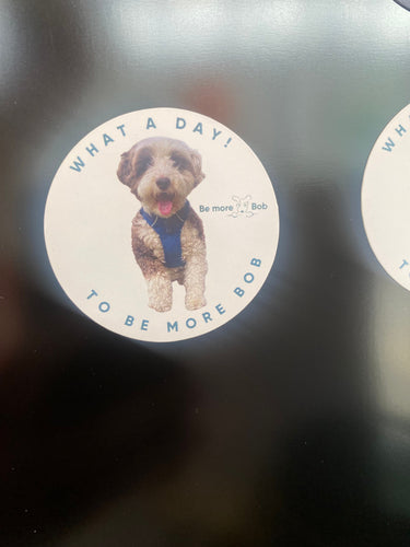 Be More Bob mini magnets