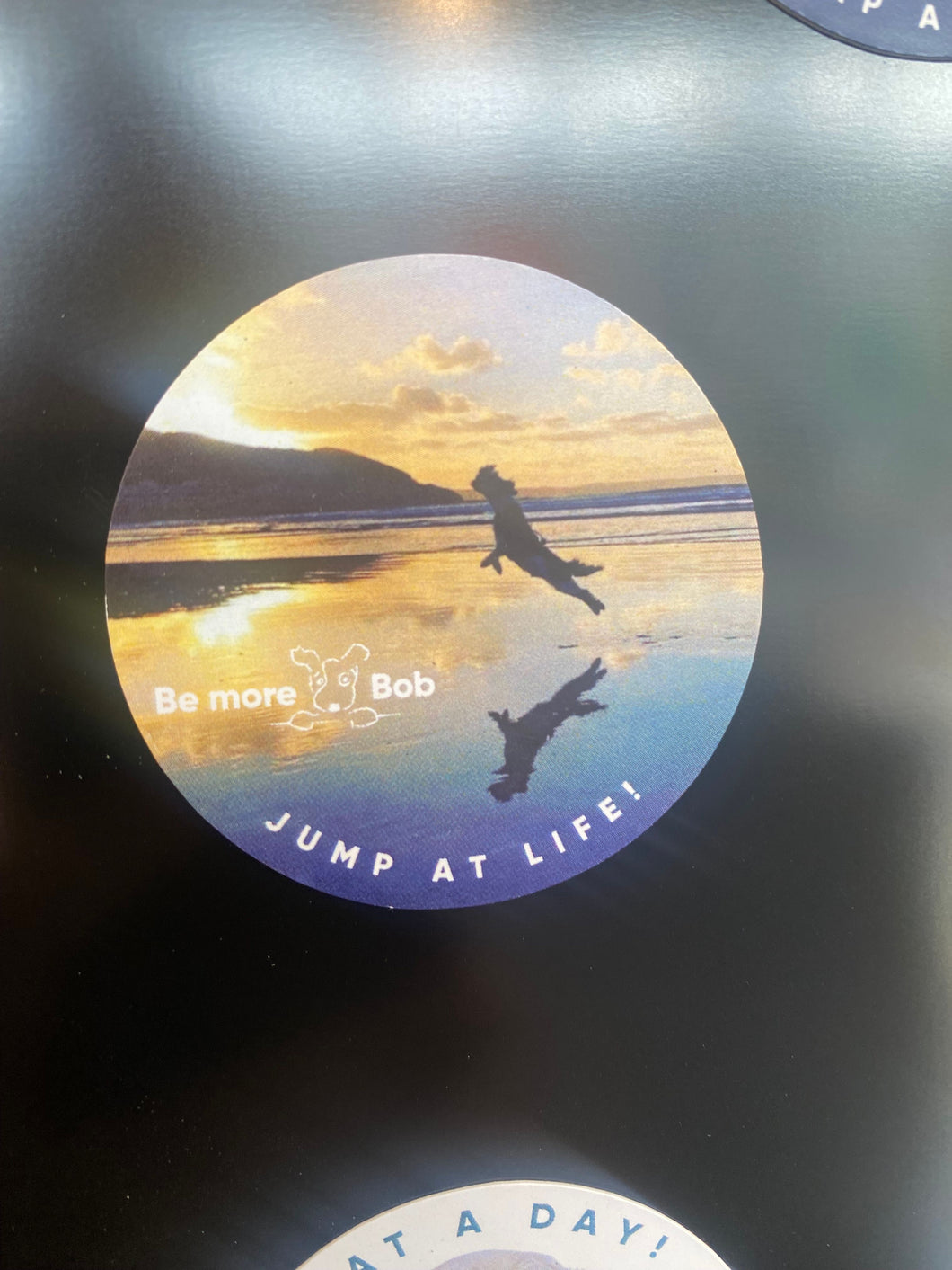 Be More Bob mini magnets
