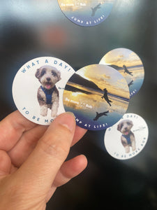 Be More Bob mini magnets