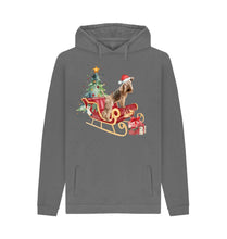 Load image into Gallery viewer, Slate Grey Bertie&#39;s Christmas Sledge! Men&#39;s hoody (can be unisex!)