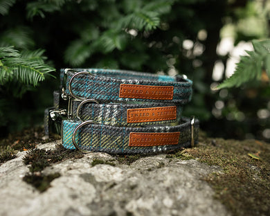 Blue Check Dog Collars & Leads