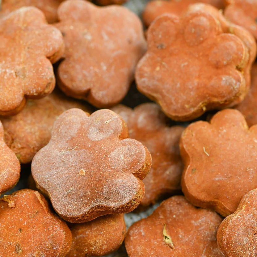 buternut squash paw dog biscuits