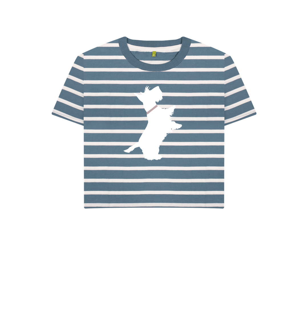 Blue Stripes Printed T-shirt