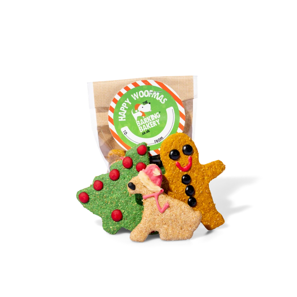 Small Dog Treat & Toy Bundle | Christmas