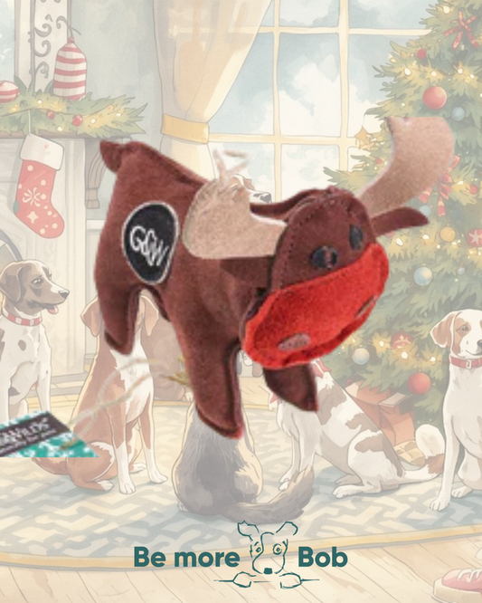 Rudy the Reindeer | Eco Dog Toy | Green & Wilds