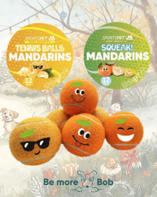 Squeaky Mandarin Tennis Balls