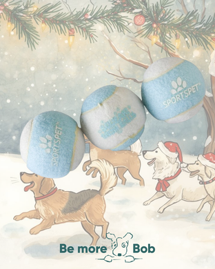 Sportspet Snow Squeak 3 Balls