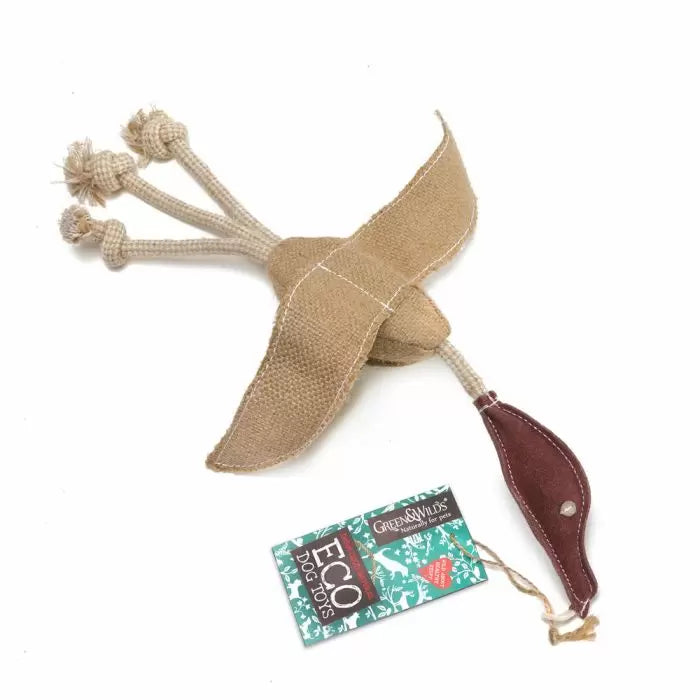 Desmond Duck,Eco Toy, Green & Wilds
