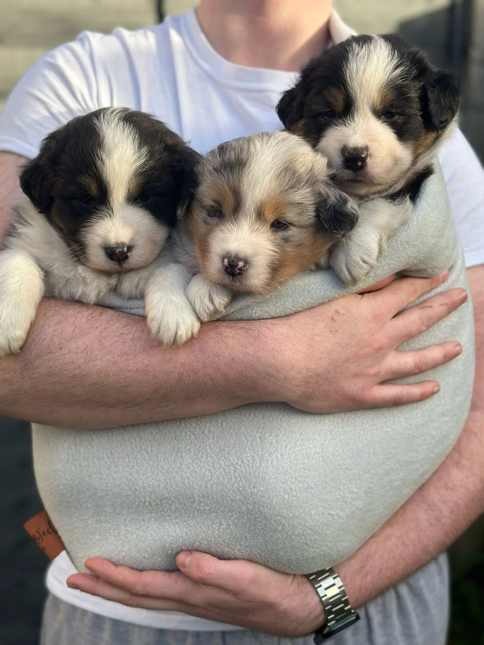 Dog Sling