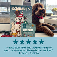 Load image into Gallery viewer, Scrumbles Dog Advent Calendar