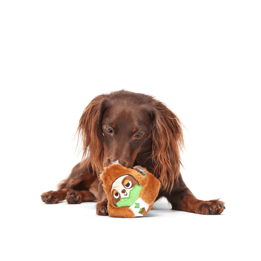 spaniel playing with a sloth dog toy