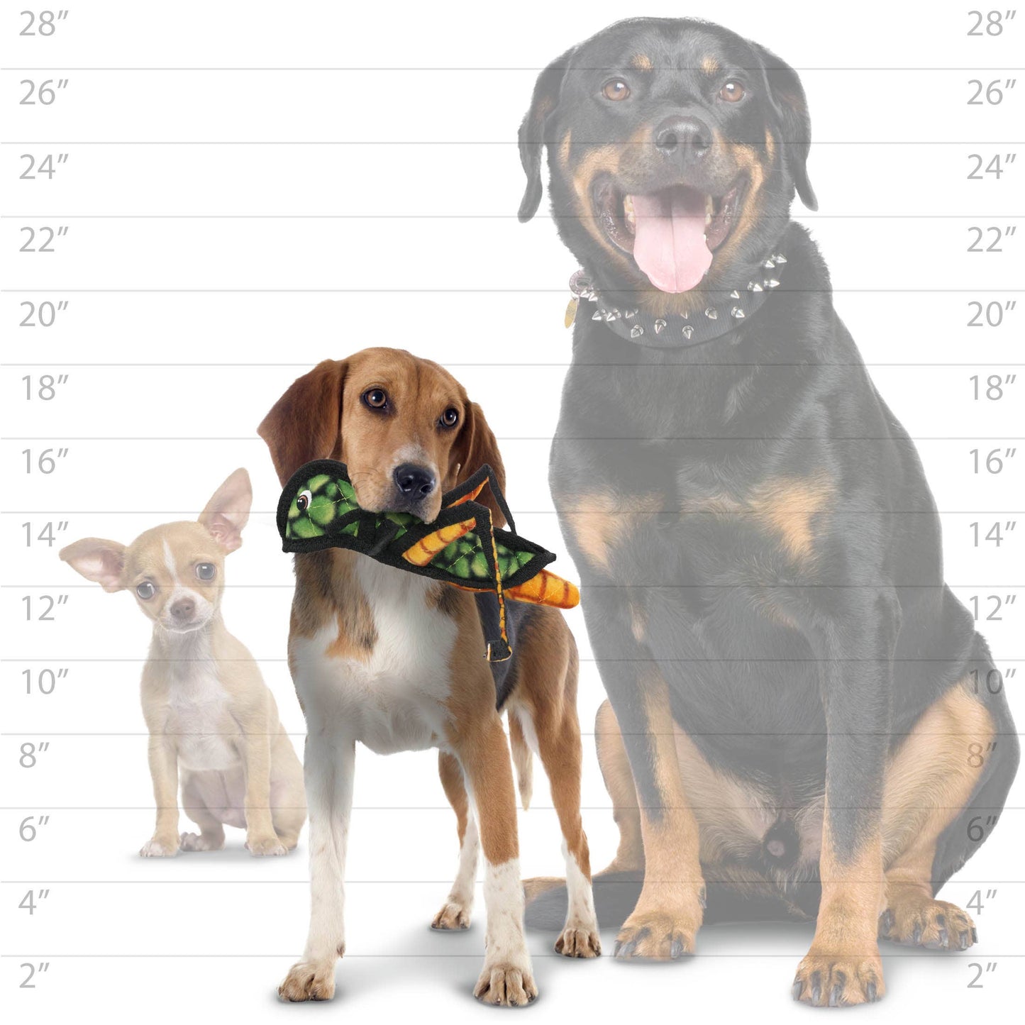 Tuffy Bug Grasshopper, Durable, Tough Dog Toy