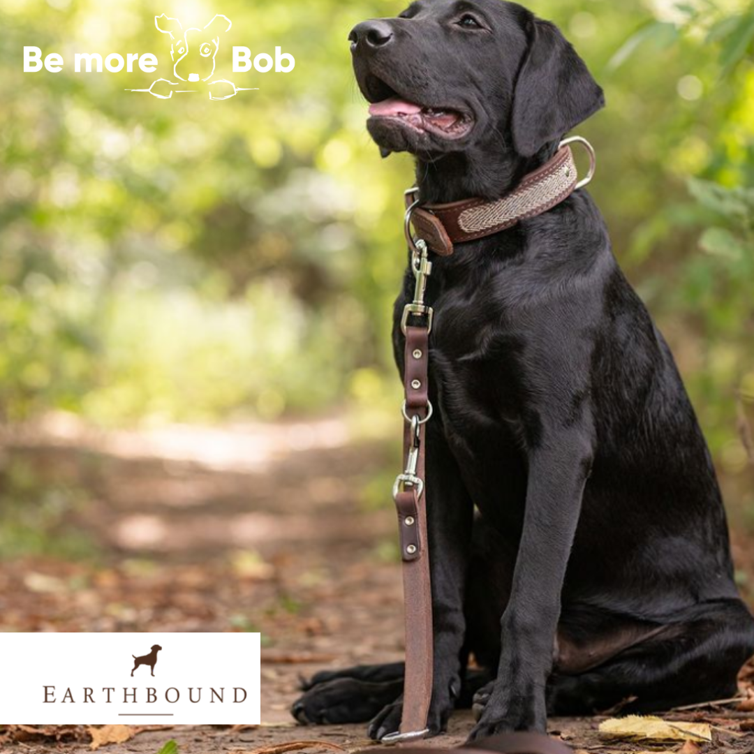 Earthbound Tweed Leather Collar - Beige