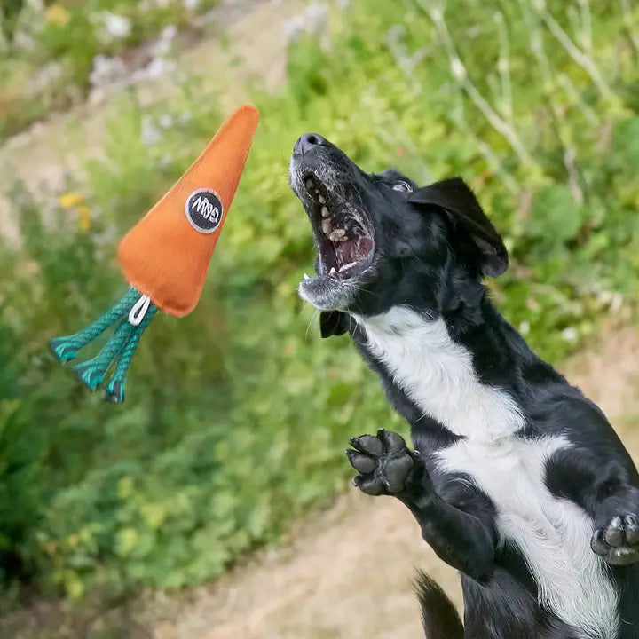Candice Carrot, Eco Toy, Green & Wilds