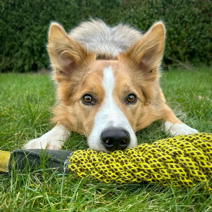 Delilah Duckess, Eco Toy, Green & Wilds