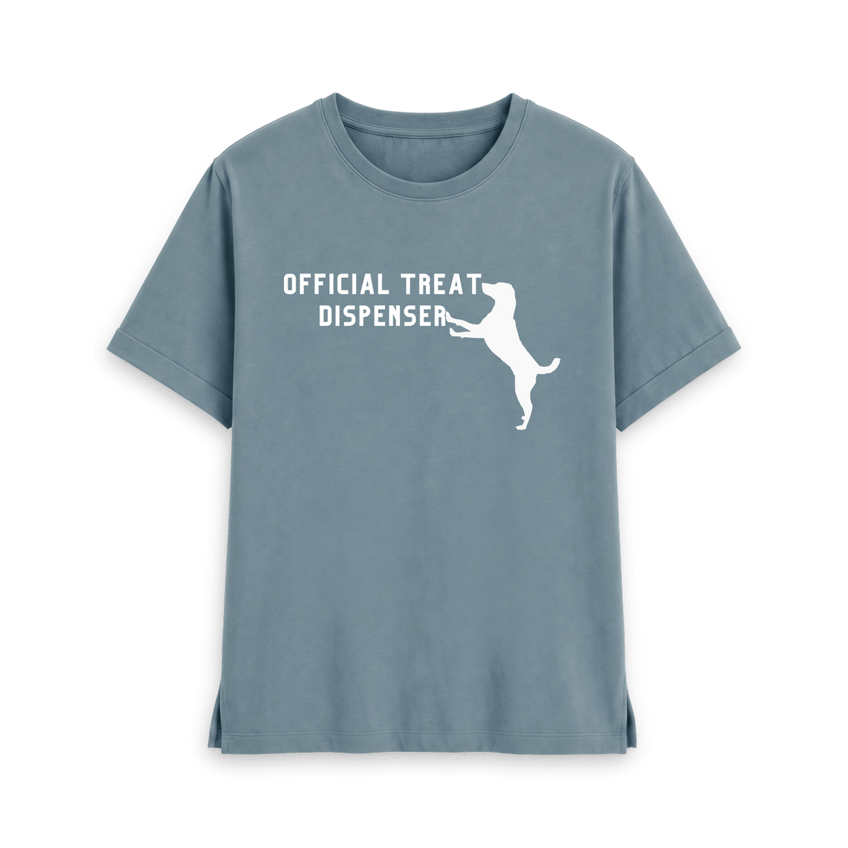 Stone Blue Printed T-shirt Front