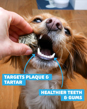 Load image into Gallery viewer, Fish Skin Cubes